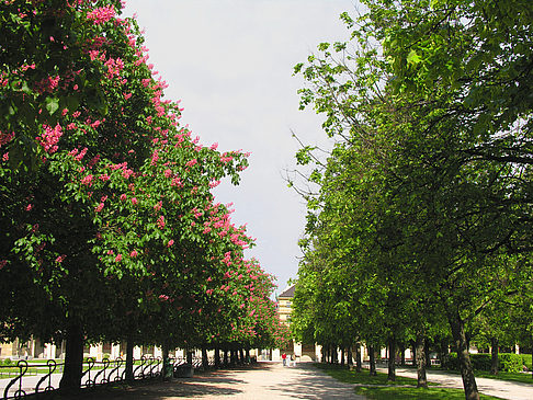 Hofgarten