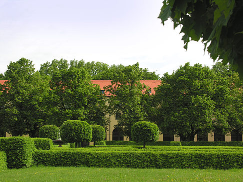 Foto Hofgarten