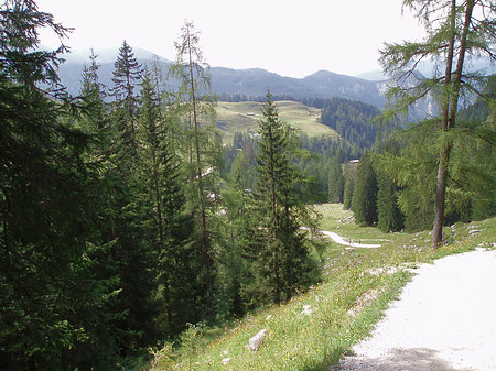 Wanderweg Foto 