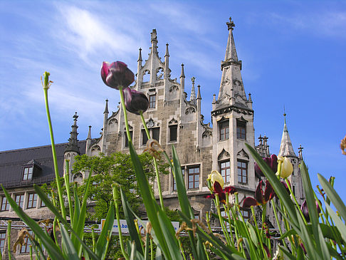 Fotos Neues Rathaus | München