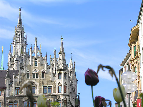 Foto Neues Rathaus - München